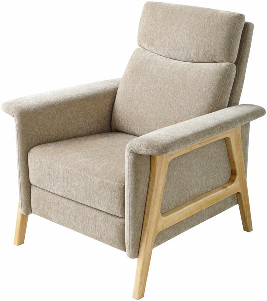 Eckersdorf Modern Minimalist Wooden Accent Chair-0